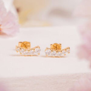 Aretes Degradé