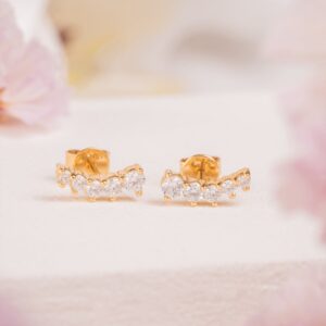 Aretes Degradé